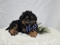 processed/18c0db96-3006-45c9-94ca-9f366f1bc47c/listing/8b261a38-80a6-44d2-bdef-6ff13592b3e8/bdf72cc5-530b-489f-807f-245d9c4ee533