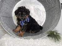 processed/18c0db96-3006-45c9-94ca-9f366f1bc47c/listing/8b261a38-80a6-44d2-bdef-6ff13592b3e8/e1a0405d-7eb5-408b-beac-d4f1f6ab9ce6