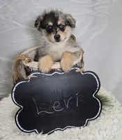 processed/18c0db96-3006-45c9-94ca-9f366f1bc47c/listing/b702bcd6-ff51-45e0-95c1-813b3a6f2c96/0fb642b9-ea4e-4a3b-9864-e1b8457bfeab