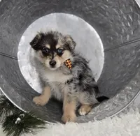 processed/18c0db96-3006-45c9-94ca-9f366f1bc47c/listing/b702bcd6-ff51-45e0-95c1-813b3a6f2c96/6de97fb5-e8d1-468f-93f8-dd9f6c9527c9