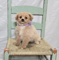 processed/18c0db96-3006-45c9-94ca-9f366f1bc47c/listing/f3a82835-60fa-4d18-90ca-5a364aa202a2/70bbcd22-2603-4121-b4a3-5ca0b45e1168