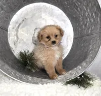 processed/18c0db96-3006-45c9-94ca-9f366f1bc47c/listing/f3a82835-60fa-4d18-90ca-5a364aa202a2/b7936a42-5971-4559-b21e-48b572f478fe