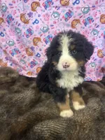 processed/18c611cc-403a-4a01-9b1e-5907549f98ab/listing/19ec1650-458b-4a65-a6de-774633115e16/0f652db9-3107-4e7e-9706-cb1acd13d1c6