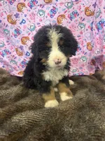 processed/18c611cc-403a-4a01-9b1e-5907549f98ab/listing/19ec1650-458b-4a65-a6de-774633115e16/241f00cd-f520-4bbe-8c38-45ba96f56d0f