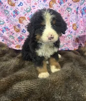 processed/18c611cc-403a-4a01-9b1e-5907549f98ab/listing/19ec1650-458b-4a65-a6de-774633115e16/9e31e6fd-eefe-4968-969a-22fcb36ab003