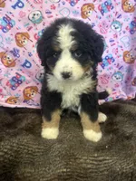 processed/18c611cc-403a-4a01-9b1e-5907549f98ab/listing/9c429c8f-2382-44fd-9bdc-05322e91e86d/9fafbad2-b4a1-408b-be37-fc065349e6d4