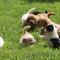 processed/18c8e30e-36f6-42df-ab91-d46a722fa014/facility/40d2f6dd-6a54-4003-a15b-a5ebbb2c0212