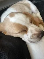 processed/18c9b815-814b-4aa1-b0f6-2d2c9efa4323/facility/508da582-2635-41d9-b0d4-2c753f8ecb45