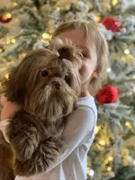 processed/18cd0580-3d99-4958-828e-1573433eb499/facility/0aa33f57-d70e-45b2-94d3-cd5e1671cfb7