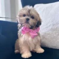 processed/18cd0580-3d99-4958-828e-1573433eb499/facility/3fcbf116-52ae-40b1-9ccc-4f3dc9400c50