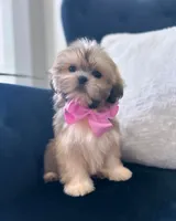 processed/18cd0580-3d99-4958-828e-1573433eb499/facility/3fcbf116-52ae-40b1-9ccc-4f3dc9400c50