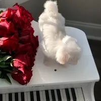 processed/18cd0580-3d99-4958-828e-1573433eb499/facility/411012d1-c523-41fc-87bc-6e4f494a9555