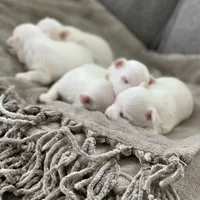 processed/18cd0580-3d99-4958-828e-1573433eb499/facility/4f3904b8-fccd-446b-8f8a-ff0c648586aa