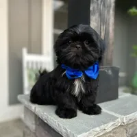 processed/18cd0580-3d99-4958-828e-1573433eb499/facility/5b3b1cdc-913e-4af1-a047-dae33e0004ee