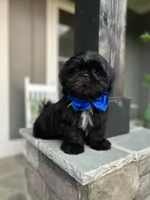 processed/18cd0580-3d99-4958-828e-1573433eb499/facility/5b3b1cdc-913e-4af1-a047-dae33e0004ee