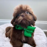 processed/18cd0580-3d99-4958-828e-1573433eb499/facility/87d66b0b-8b43-4b41-9a03-28c2f4bdaf80