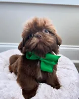 processed/18cd0580-3d99-4958-828e-1573433eb499/facility/87d66b0b-8b43-4b41-9a03-28c2f4bdaf80