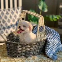 processed/18cd0580-3d99-4958-828e-1573433eb499/facility/93cd6a3f-c427-473d-9d54-d92c78851d44