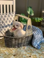 processed/18cd0580-3d99-4958-828e-1573433eb499/facility/93cd6a3f-c427-473d-9d54-d92c78851d44