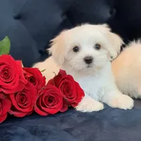 processed/18cd0580-3d99-4958-828e-1573433eb499/facility/eddb790c-d5ac-40ee-99a3-1f63420d1d61