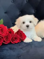 processed/18cd0580-3d99-4958-828e-1573433eb499/facility/eddb790c-d5ac-40ee-99a3-1f63420d1d61