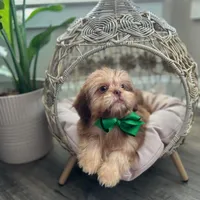 processed/18cd0580-3d99-4958-828e-1573433eb499/facility/f5d11930-aa43-4e6e-966d-02649f0c137f