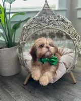 processed/18cd0580-3d99-4958-828e-1573433eb499/facility/f5d11930-aa43-4e6e-966d-02649f0c137f