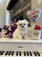 processed/18cd0580-3d99-4958-828e-1573433eb499/listing/74eb7f28-796a-4f2e-89f8-990ac3cc18fb/02655030-3e66-45dd-930e-18ff0a07c40a