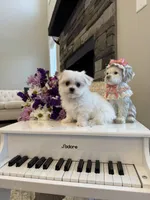 processed/18cd0580-3d99-4958-828e-1573433eb499/listing/74eb7f28-796a-4f2e-89f8-990ac3cc18fb/a1dd10f6-dc59-4773-9fe7-d6e0b99700ef