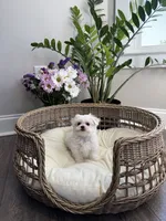 processed/18cd0580-3d99-4958-828e-1573433eb499/listing/74eb7f28-796a-4f2e-89f8-990ac3cc18fb/e254de47-087e-49c9-9a54-5b48d93e2928