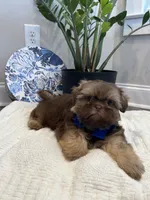 processed/18cd0580-3d99-4958-828e-1573433eb499/listing/7ebd7cb7-8206-4bd7-8259-c1471690448f/bc1bb231-6e30-4185-af13-3a7a62e19cae