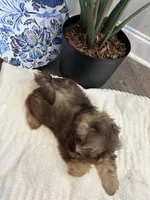 processed/18cd0580-3d99-4958-828e-1573433eb499/listing/7ebd7cb7-8206-4bd7-8259-c1471690448f/d92f3ca3-e239-42d2-ae8f-cfee7e2af381