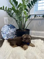 processed/18cd0580-3d99-4958-828e-1573433eb499/listing/7ebd7cb7-8206-4bd7-8259-c1471690448f/ed2cdce7-69c6-49d2-a5c8-9ee51c0f03bb