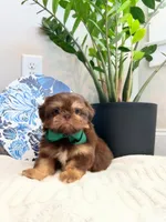 processed/18cd0580-3d99-4958-828e-1573433eb499/listing/d2c40f08-3bae-4686-8e9b-d4802ecf126b/848cfee5-62d2-4132-967d-3a037247b0f9