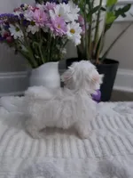 processed/18cd0580-3d99-4958-828e-1573433eb499/listing/e2125885-8048-4fde-ad20-0aff05f7cce8/424b5495-a07a-4fa0-ab35-ae7124388228