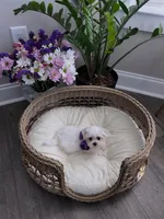 processed/18cd0580-3d99-4958-828e-1573433eb499/listing/e2125885-8048-4fde-ad20-0aff05f7cce8/7884df3d-5e1a-46dd-b82a-0b618b8d1319