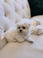 processed/18cd0580-3d99-4958-828e-1573433eb499/listing/e2125885-8048-4fde-ad20-0aff05f7cce8/b1bb53d5-f823-4161-a8f0-247be6b98eaa