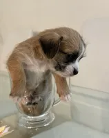 processed/18ce7061-27a3-48cc-bece-0fe6797aa18b/listing/9d69f58a-0d4b-4782-8171-2898425c4e52/982c5dae-86fd-4c54-93f6-f9d6553816c2