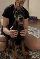 processed/18cf5b1c-4c6d-4035-96ba-a9141191beaa/listing/94b24caf-593f-46a6-b6c1-daa42cbd54fd/2455972d-20f2-418b-a51d-aad9a7a6a8de