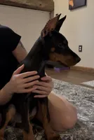 processed/18cf5b1c-4c6d-4035-96ba-a9141191beaa/listing/94b24caf-593f-46a6-b6c1-daa42cbd54fd/358b4070-2e9f-45ad-afc3-237e9443e2a3