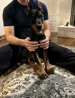 processed/18cf5b1c-4c6d-4035-96ba-a9141191beaa/listing/94b24caf-593f-46a6-b6c1-daa42cbd54fd/4053fc82-316a-4114-a058-fd71630ee177