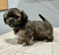 processed/18eba12e-ba5b-4a59-85ad-88c67261fb3b/listing/39e16679-d5d5-455c-b2da-0af35fc4ea46/7e325aae-e09e-48cb-a1bb-a20e16e264ce