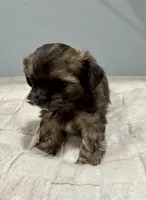 processed/18eba12e-ba5b-4a59-85ad-88c67261fb3b/listing/39e16679-d5d5-455c-b2da-0af35fc4ea46/9ee85d30-94e8-4f71-9dac-5da22fdec155