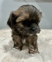 processed/18eba12e-ba5b-4a59-85ad-88c67261fb3b/listing/39e16679-d5d5-455c-b2da-0af35fc4ea46/ff395482-95df-4940-8846-3b40fc5aeb4d