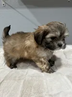 processed/18eba12e-ba5b-4a59-85ad-88c67261fb3b/listing/43ff6eec-cf89-4e6b-834d-9bad328dc2e2/7923cf04-dd4a-4132-97cb-4a52b997ded2