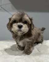 processed/18eba12e-ba5b-4a59-85ad-88c67261fb3b/listing/6c375854-a0bb-491c-b9fc-b34b2e60eee2/11592837-187d-47b5-b25c-ee64947f993a