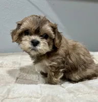 processed/18eba12e-ba5b-4a59-85ad-88c67261fb3b/listing/6c375854-a0bb-491c-b9fc-b34b2e60eee2/47191030-7980-45fc-901c-0a6bad26a08c