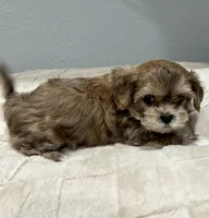 processed/18eba12e-ba5b-4a59-85ad-88c67261fb3b/listing/6c375854-a0bb-491c-b9fc-b34b2e60eee2/b25dd992-e4d1-47b1-8a4f-adbec7671406