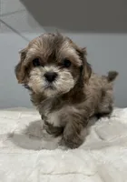 processed/18eba12e-ba5b-4a59-85ad-88c67261fb3b/listing/6c375854-a0bb-491c-b9fc-b34b2e60eee2/b73d4fe5-5746-4309-b38d-ec6b995abd38