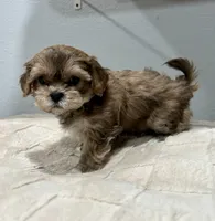 processed/18eba12e-ba5b-4a59-85ad-88c67261fb3b/listing/6c375854-a0bb-491c-b9fc-b34b2e60eee2/f6e9685b-e95e-4e0c-bf40-b2f266e5cbff